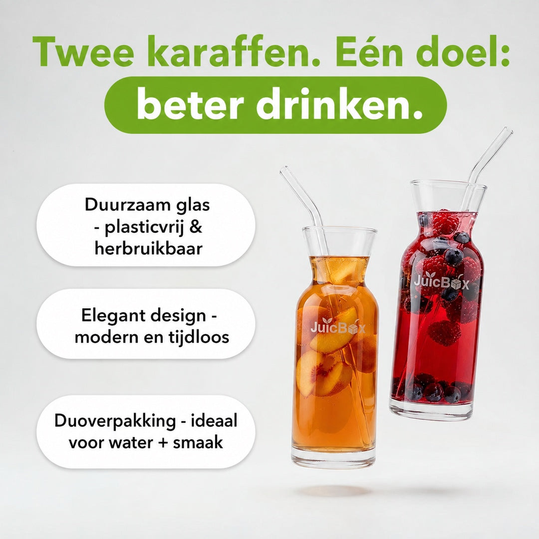 JuiceBox Glazen Karaffen Set - 2x 600ml