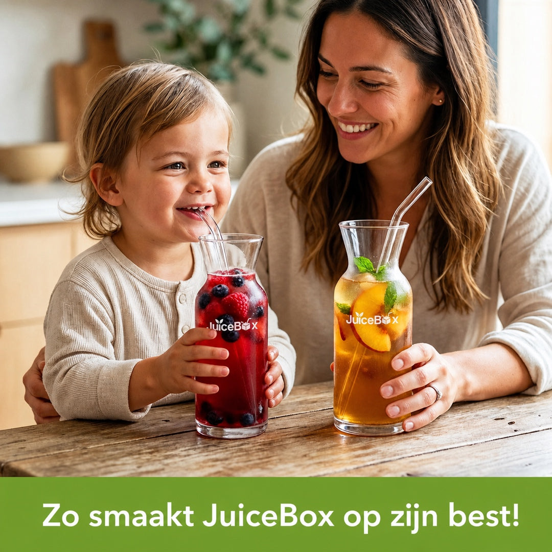 JuiceBox Glazen Karaffen Set - 2x 600ml