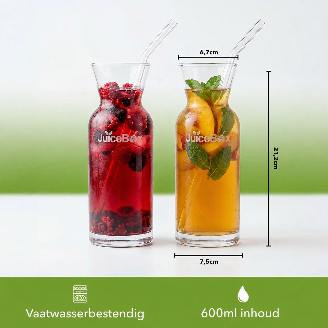 JuiceBox Glazen Karaffen Set - 2x 600ml